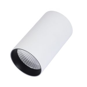 LEARC  aluminium white finish black reflector, 30 Watt Bridgelux LED and high quality driver LED Ceiling Surface cylinder TR1804